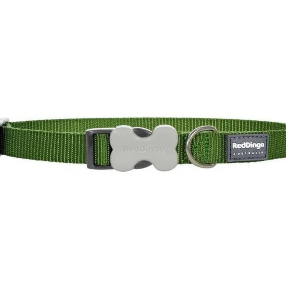 Dingo Green Dog Collar with Quick-Release Buckle